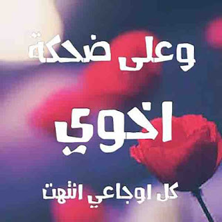 صور وعبارات عن الاخ 3
