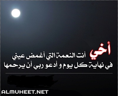 كلمات وصور عن الاخ 3