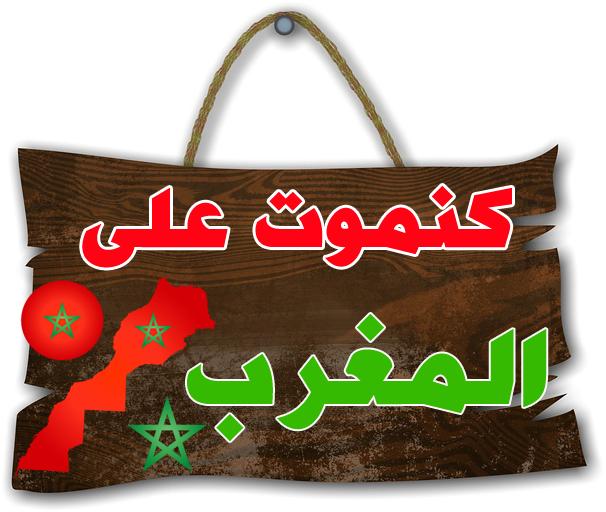 صور للوطن 3