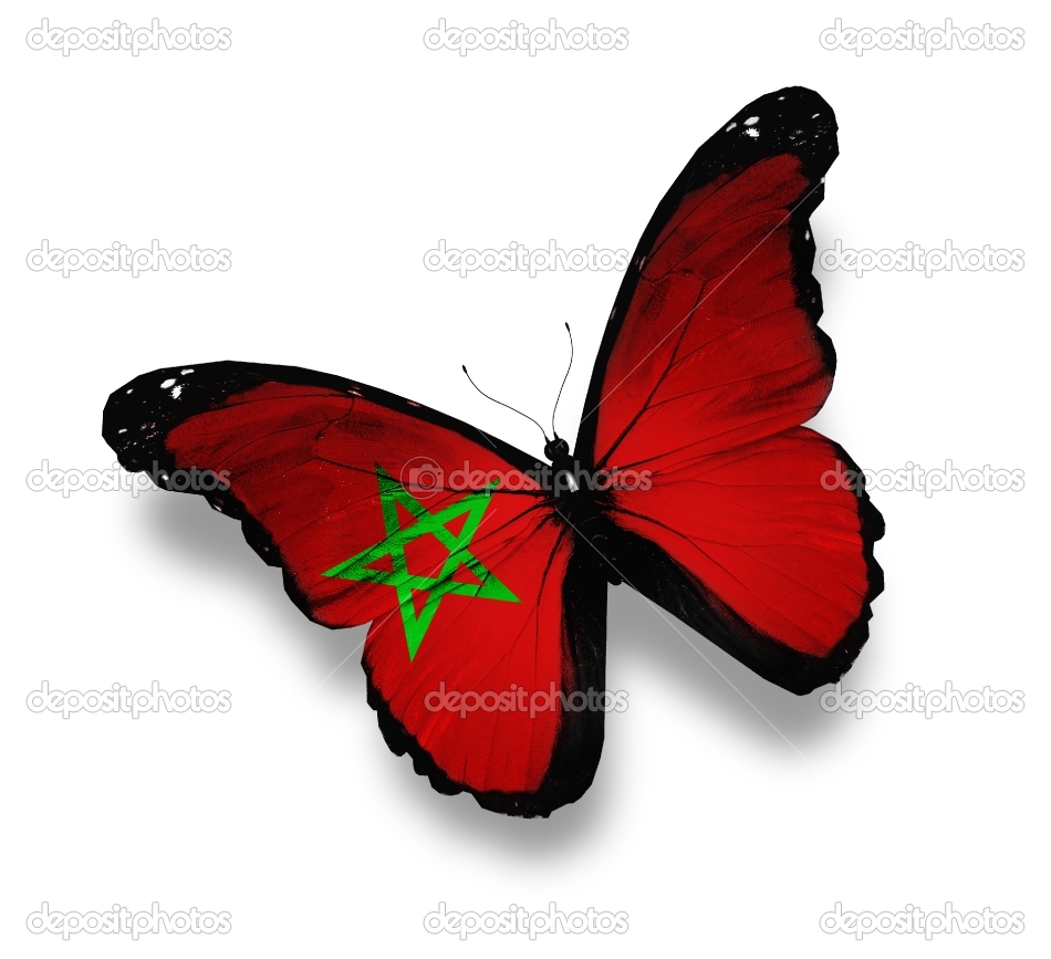 خلفيات عن الوطن 3