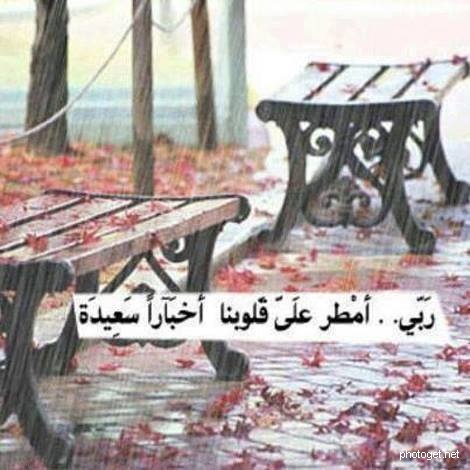 اجمل الصور والعبارات عن المطر3