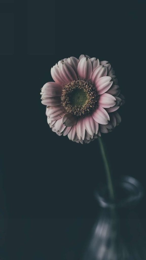 صور خلفيات 2020 3