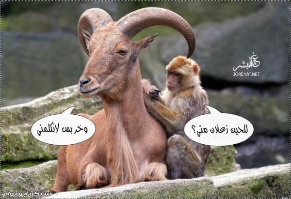 صور ضحك30