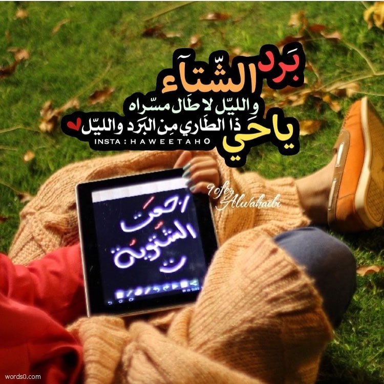 حالات عن الشتاء5