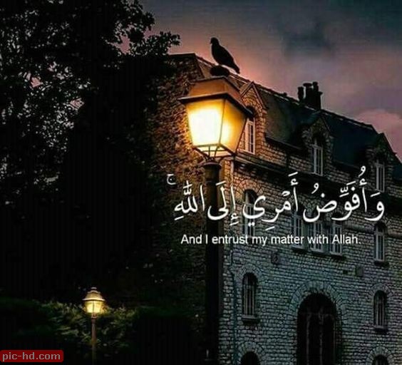 حالات ايات قرآنية10
