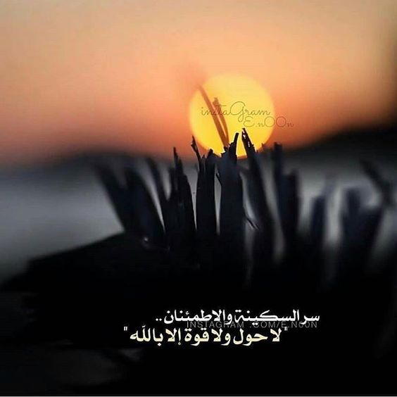 صورجميلة جديدة 2019 للفيس بوك5