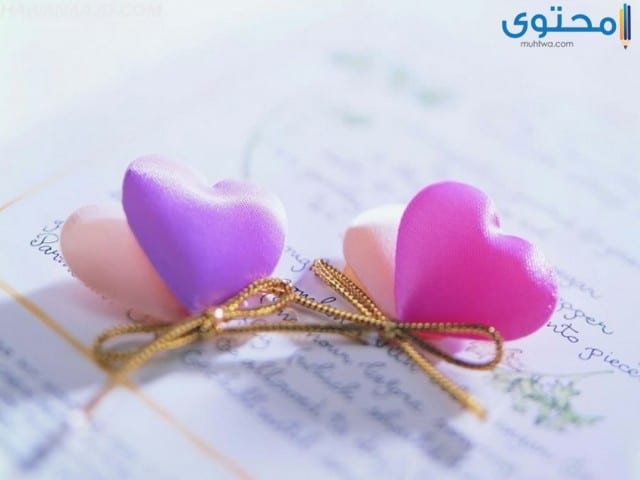 تنزيل صورخلفيات جميلة5