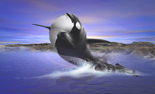 صور حيوانات 3d 24
