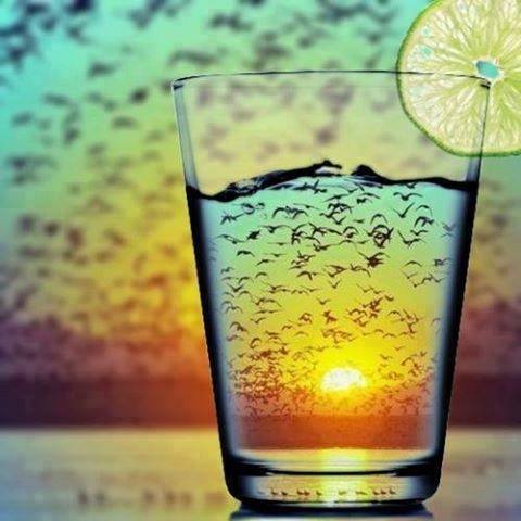 صور الوتساب31