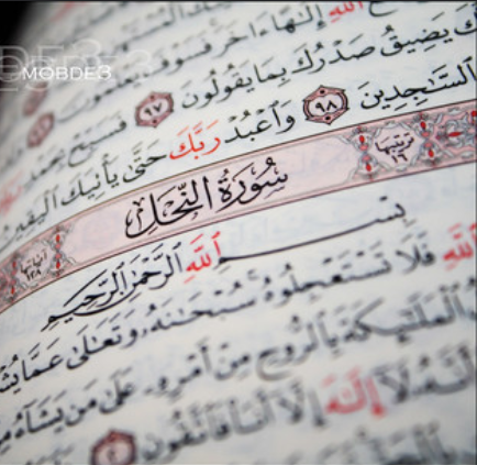 صور القرآن32