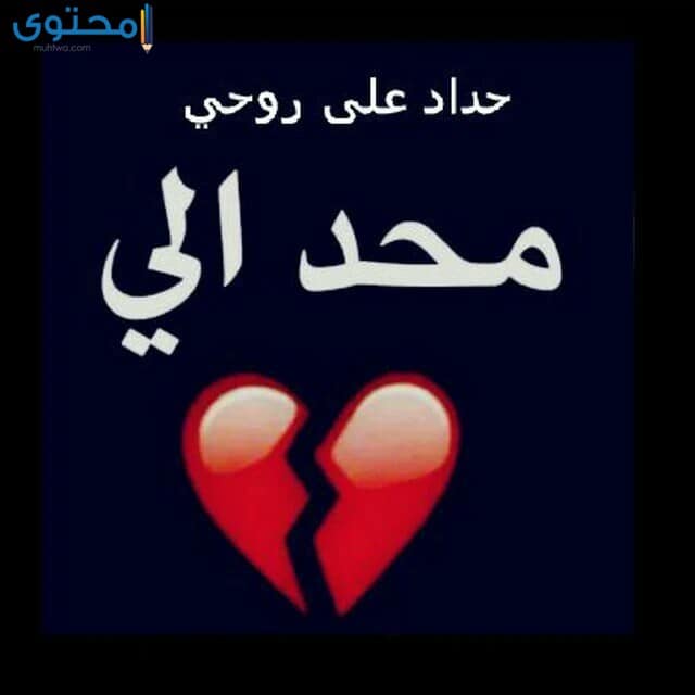 صور حداد32