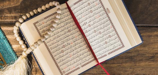 صور القرآن33