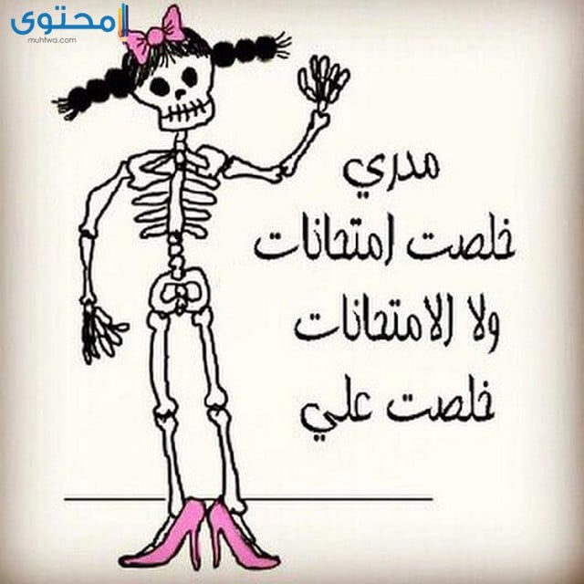 بوستات عن الامتحانات مضحكة2