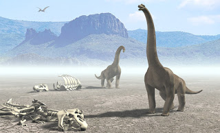 صور حيوانات 3d 26