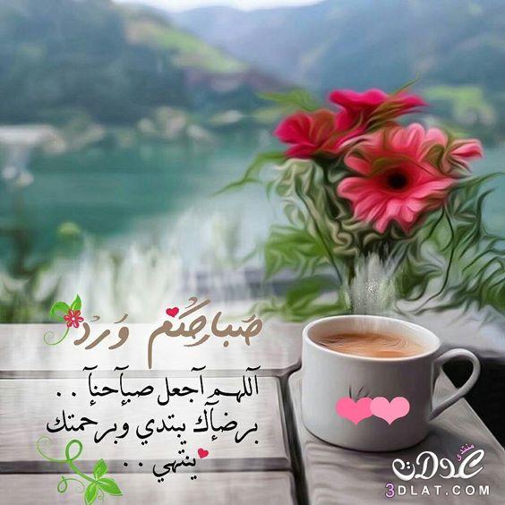 صباح الورد33
