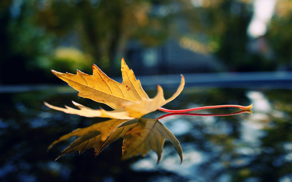 صور الشاشة32