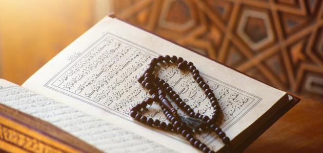 صور القرآن34