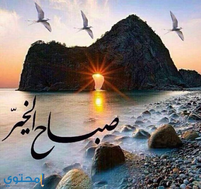 خلفيات بحر مكتوب عليها 3