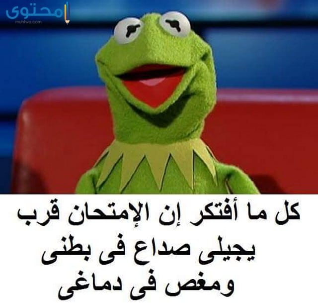 بوستات عن الامتحانات مضحكة3