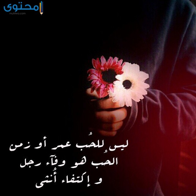 اجمل الصور المعبرة عن العشق2