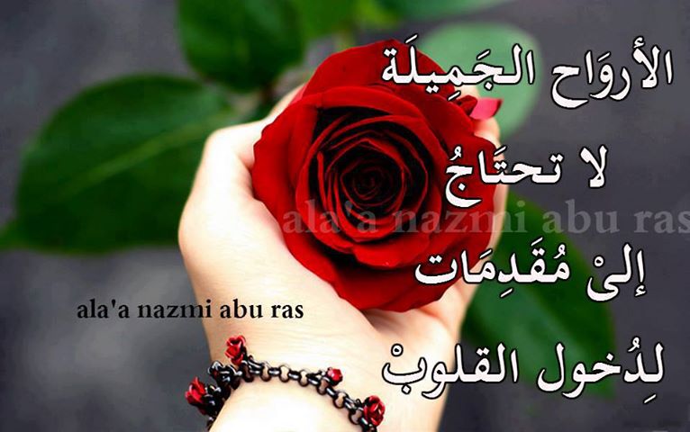 تنزيل صورجميلة منوعة 2020