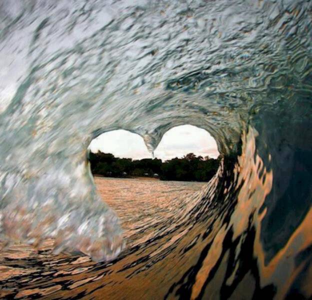 صور غريبة34
