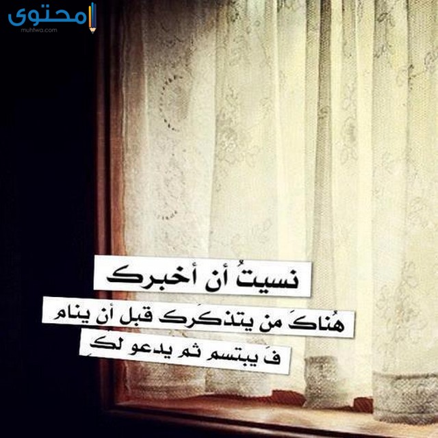 اجمل الصور المعبرة عن العشق3