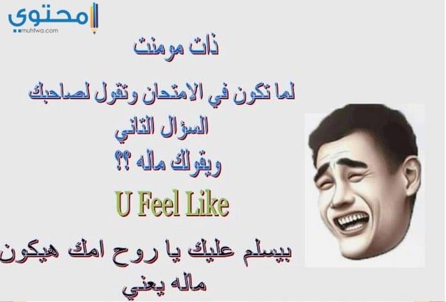 صورمضحكة 35