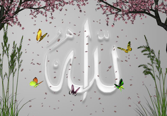 خلفيات الله كريم3