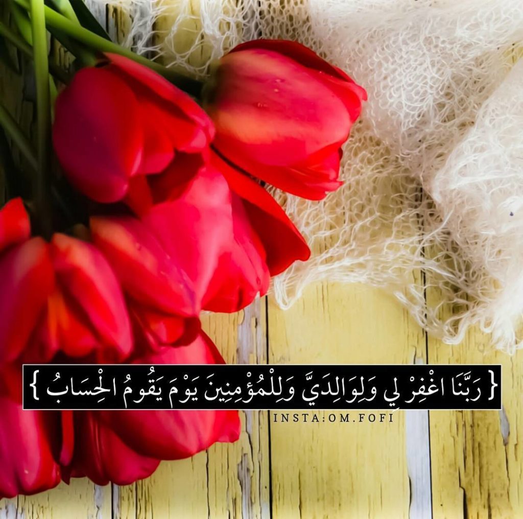 صورجميلة جديدة