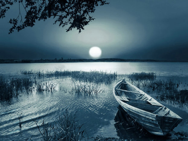 صور الشاشة36