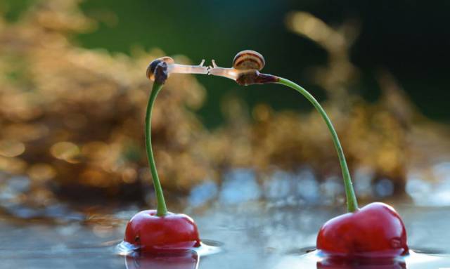 صور غريبة37