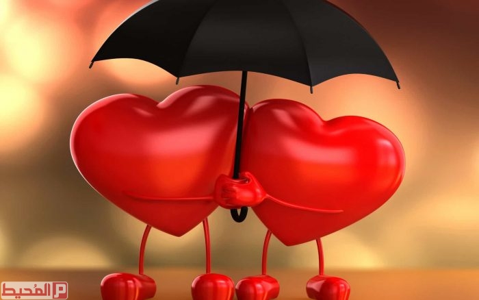 صور عيد الحب37