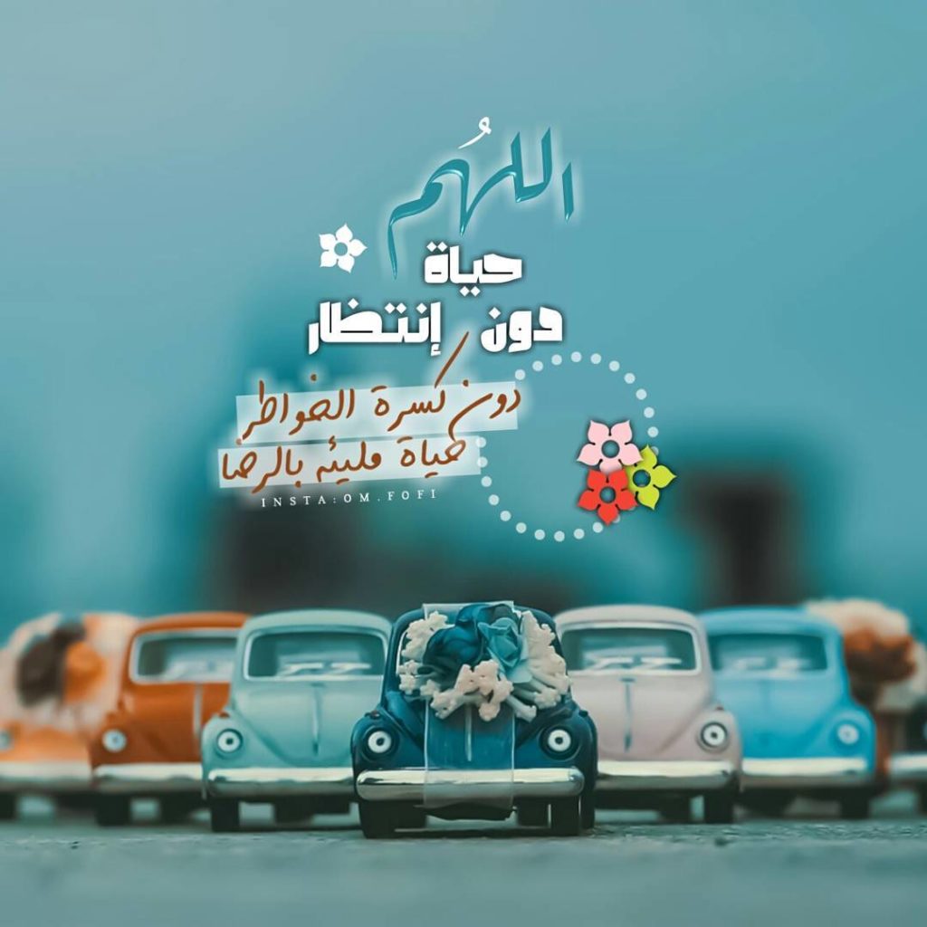 صورجميلة جديدة2