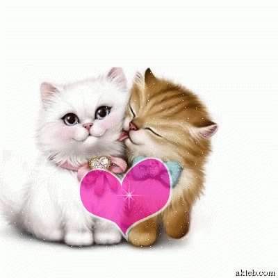 خلفيات قطط متحركة للموبايل2
