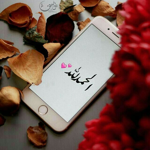 صور الحمد لله38