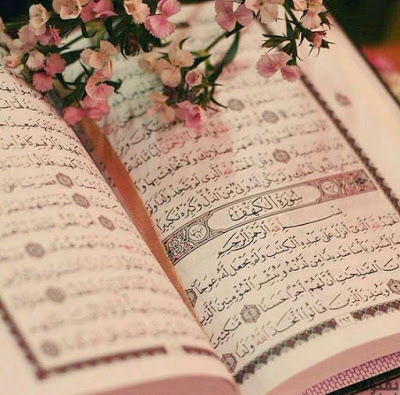 صور القرآن38