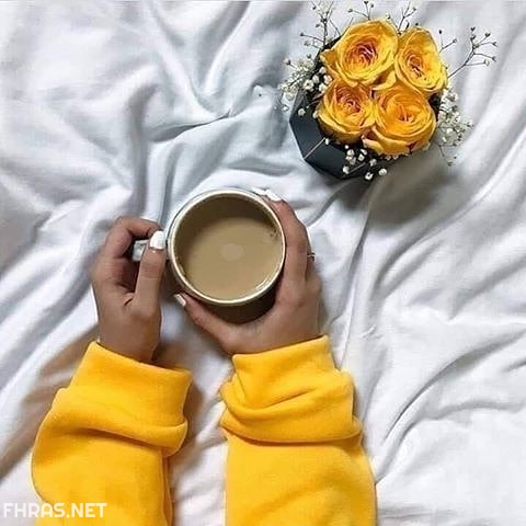 خلفيات صفراء كيوت3