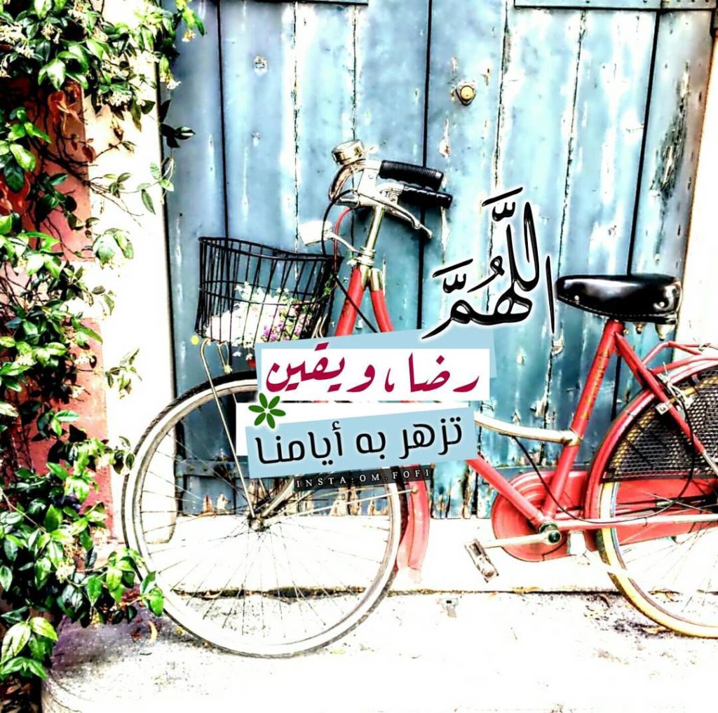 صورجميلة جديدة3