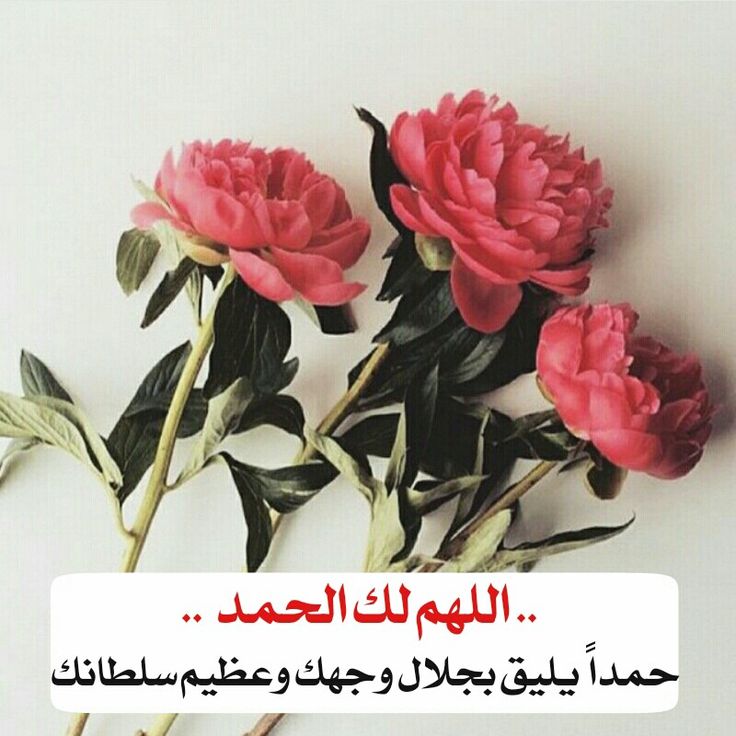 صور الحمد لله39