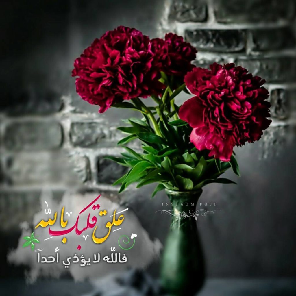 صورجميلة جديدة4