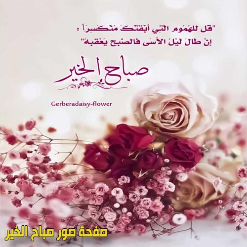 صباح الورد 39