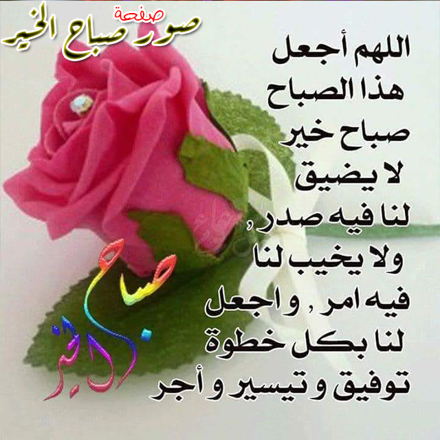 صباح الورد4