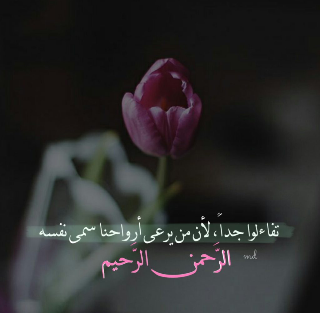 صور الوتساب4