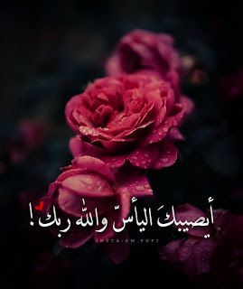 صورجميلة جديدة 2020 للفيس بوك 4