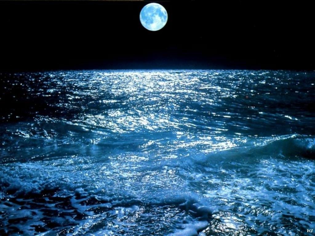 صور للبحر4