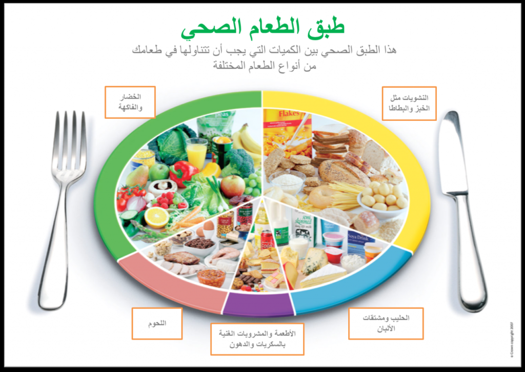 مطويات عن برنامج صحتي في غذائي 4