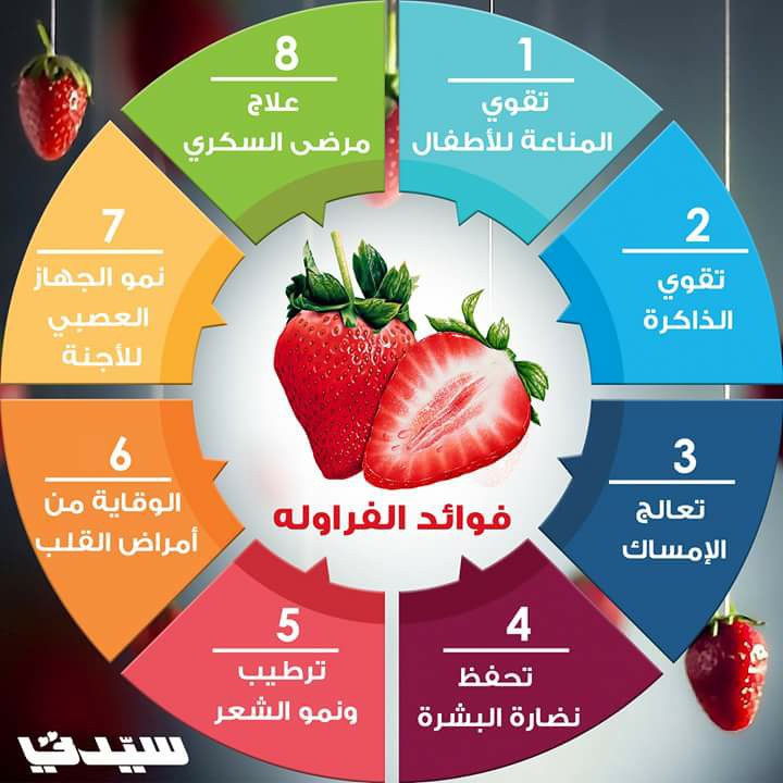 مطويات عن الغذاء المتوازن 4