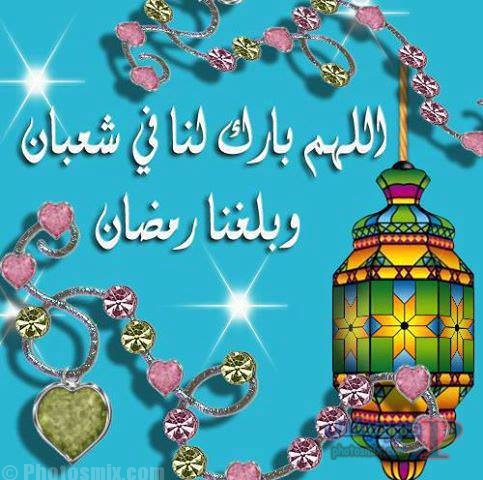 صور شعبان 4
