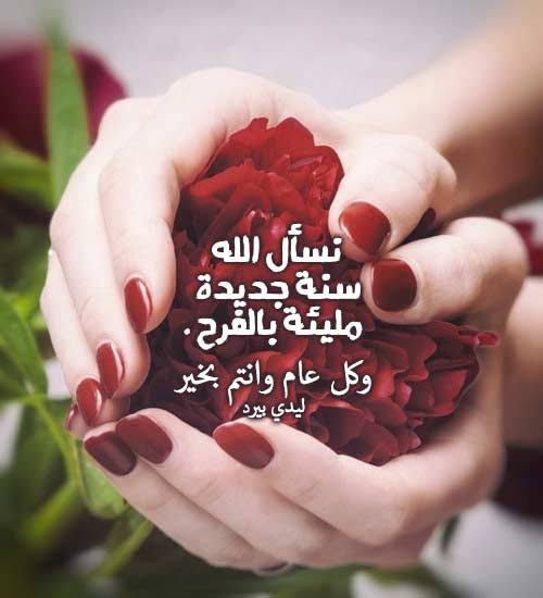 صورجميلة جديدة 1